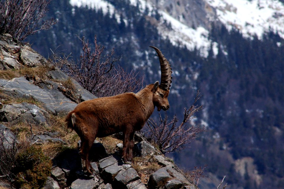 Saintmicheldemaurienne, France, Wallpaper