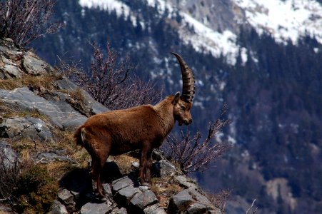 Saintmicheldemaurienne, France, Wallpaper