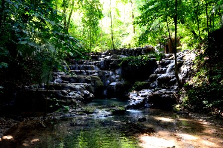 Palenque, Jungle, Mexico