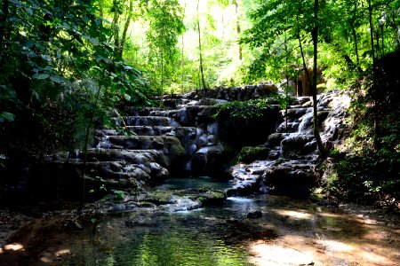 Palenque, Jungle, Mexico photo