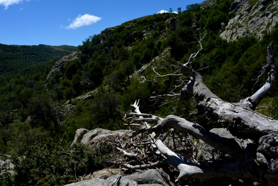 Corsica, France, Valley photo