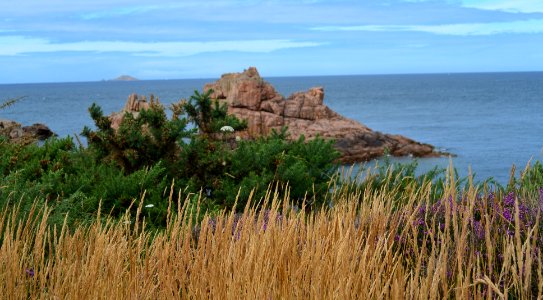 Grass, Seaside, Cte de granit rose