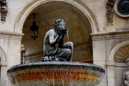 Lyon, France, Fountain photo