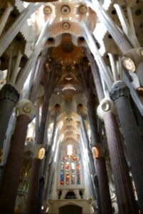 Barcelona, Spain, Cathedral photo