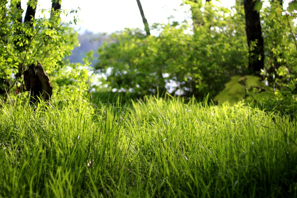 White lake state park, Tamworth, United states