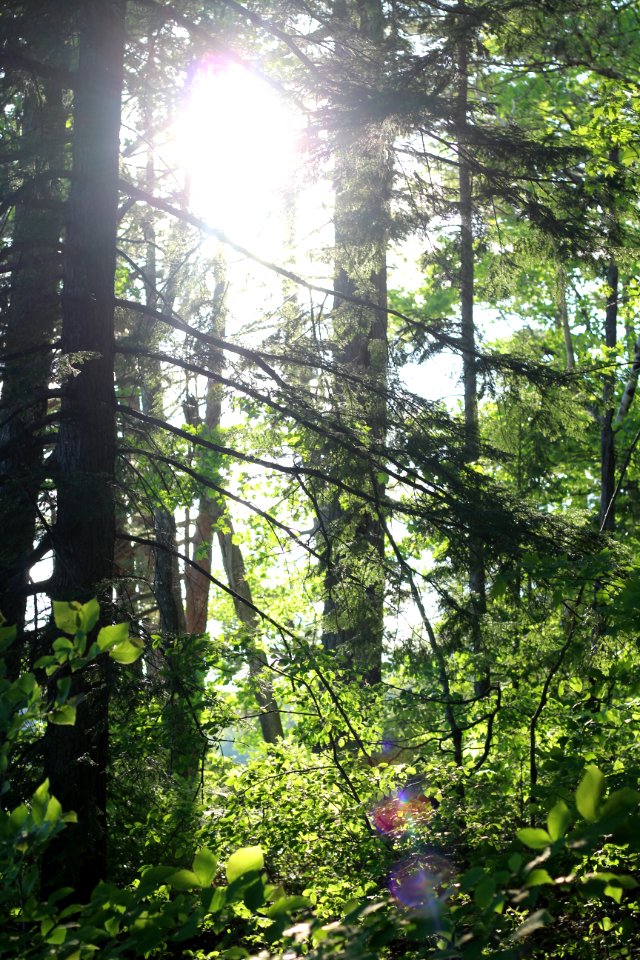 White lake state park, Tamworth, United states