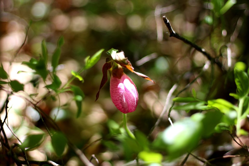 White lake state park, Tamworth, United states