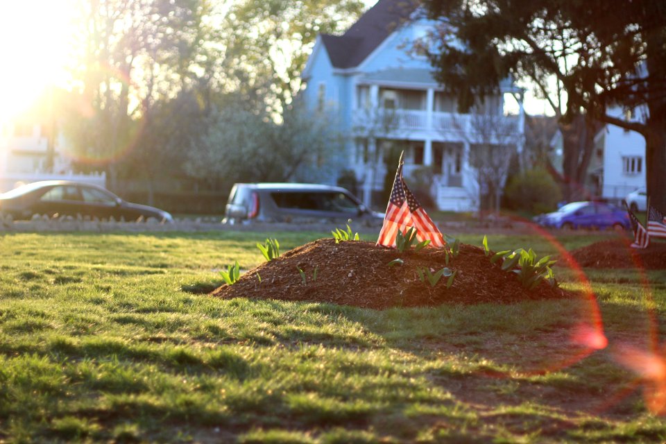 United states, Malden, New growth