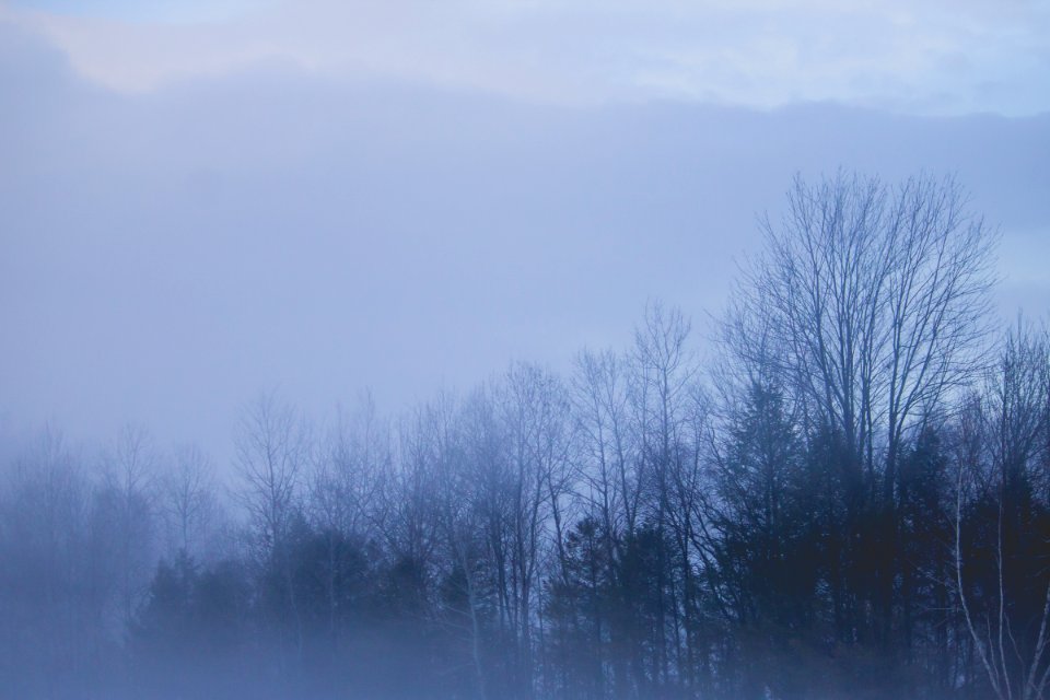 Conway, United states, Background