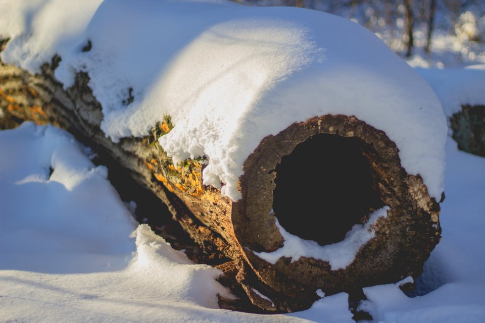 Middlesex fells, Medford, United states