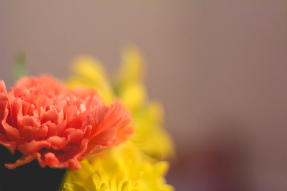 Malden, United states, Soft focus