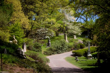 Cambridge, Mount auburn cemetery, United states photo