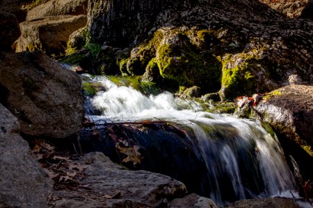 Middlesex fells, Medford, United states
