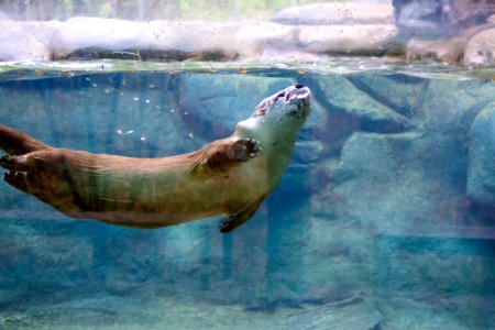 Worcester, United states, Bubbles