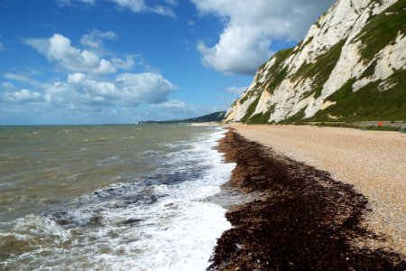 Samphire hoe, Dover, United kingdom photo