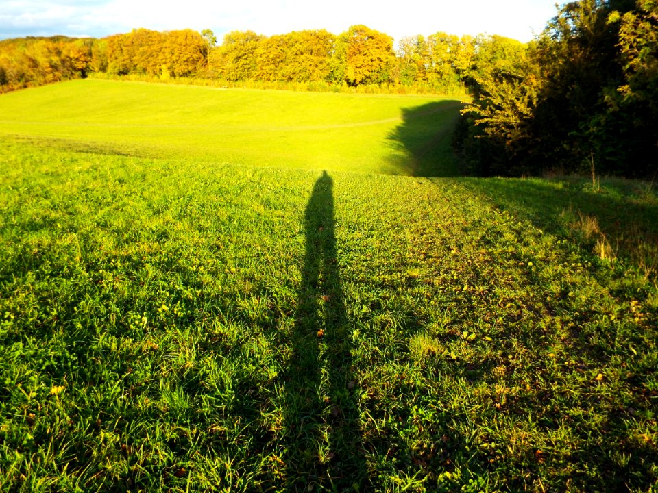 Capstone farm country park, Gillingham, United kingdom