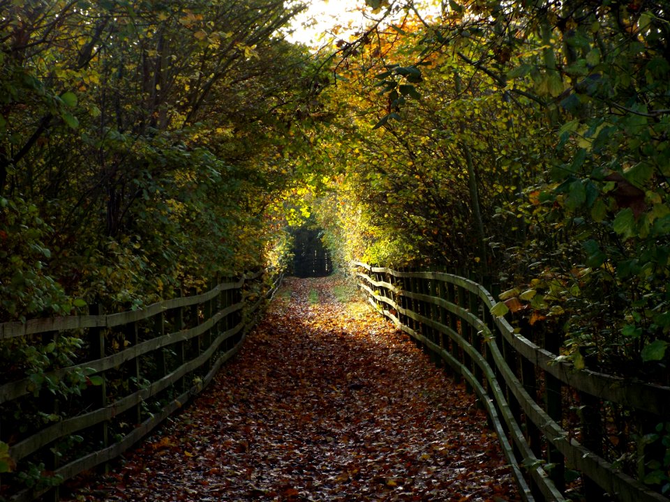 Capstone farm country park, Gillingham, United kingdom