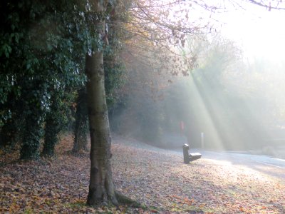 Capstone farm country park cafe, Gillingham, United kingdom photo