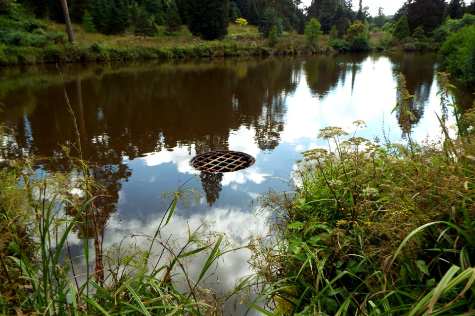 Bedgebury national pinetum, Goudhurst, United kingdom