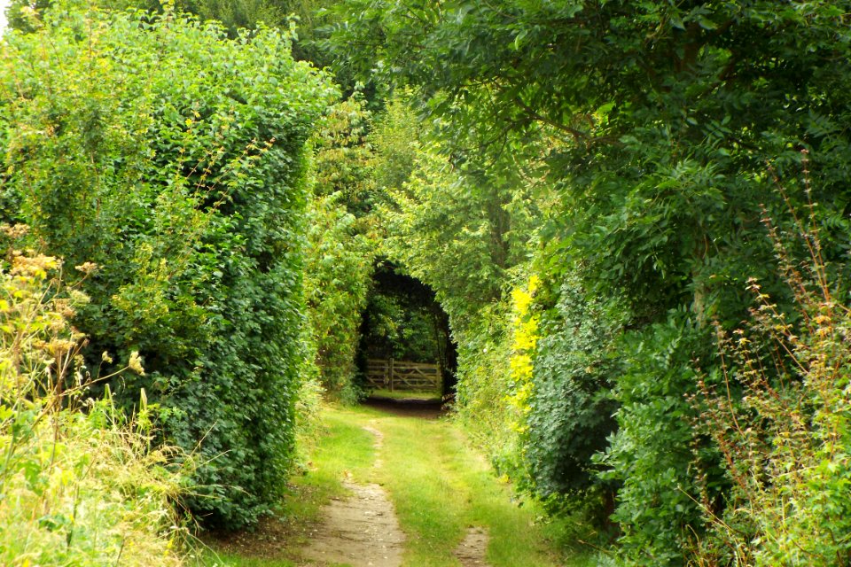 Capstone road wsw, Gillingham, United kingdom