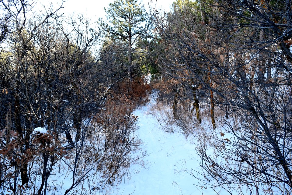 Mount herman trail, Monument, United states