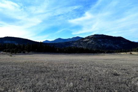 United states, Mountain, Forest