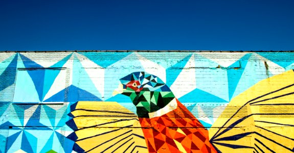 bird mural during daytime