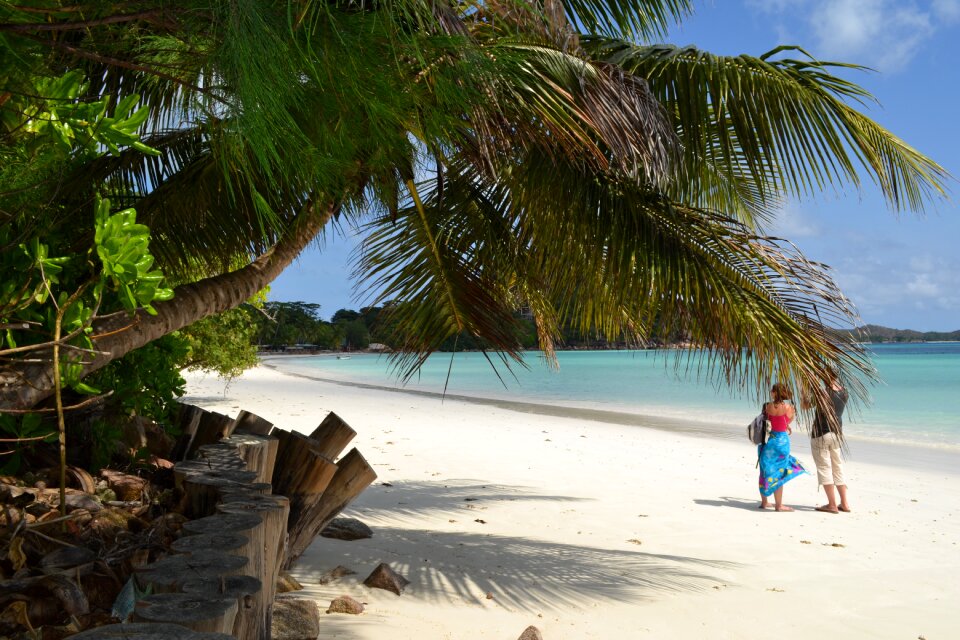 Tropical travel ocean