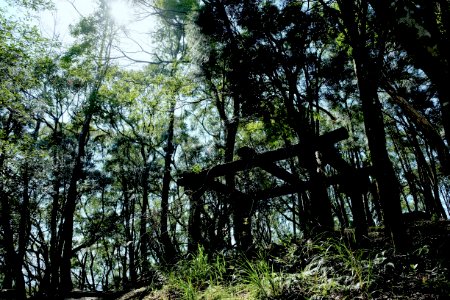 Taiwan, Nature, Silence
