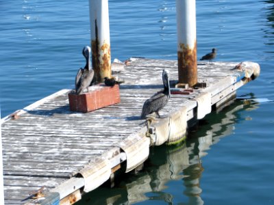 Ensenada, Mexico, Port