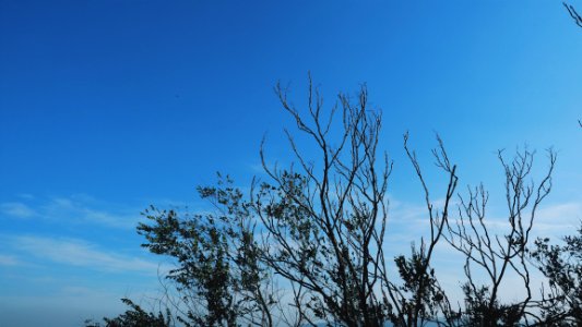 Sunshine, Sun, Sky