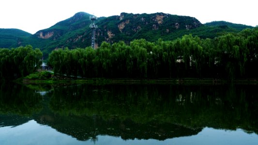 landscape photography of lake surrounded with trees photo