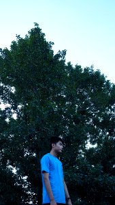 China, Green