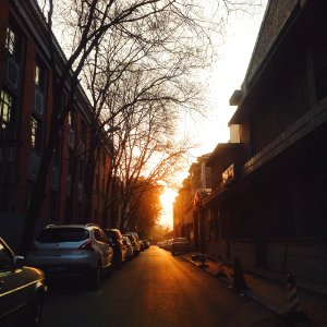 Sunshine
