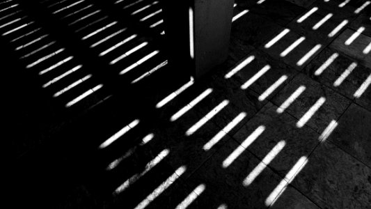 Black  white