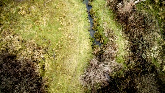 top view photography of grass field