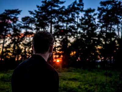 photography of man looking sunset in front of green leafed trees photo