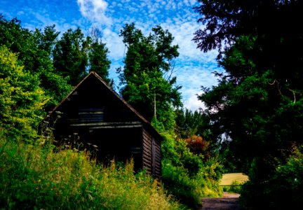 brown wooden house