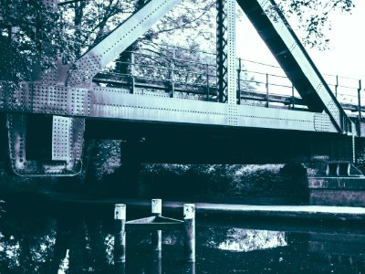 grayscale photo of bridge between trees