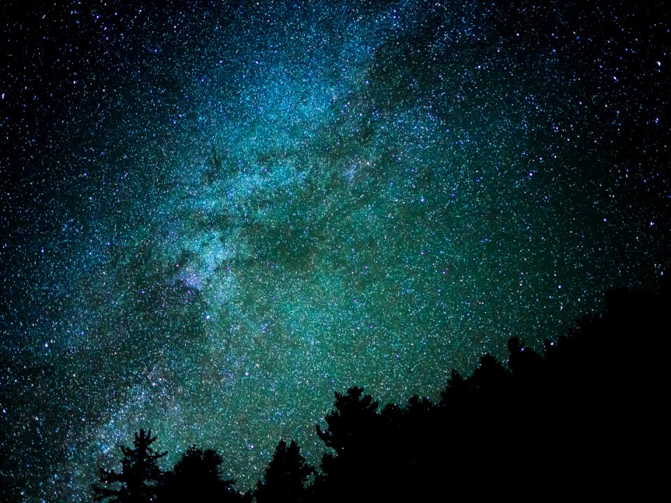 silhouette of trees showing stars during night time