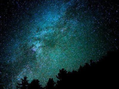 silhouette of trees showing stars during night time