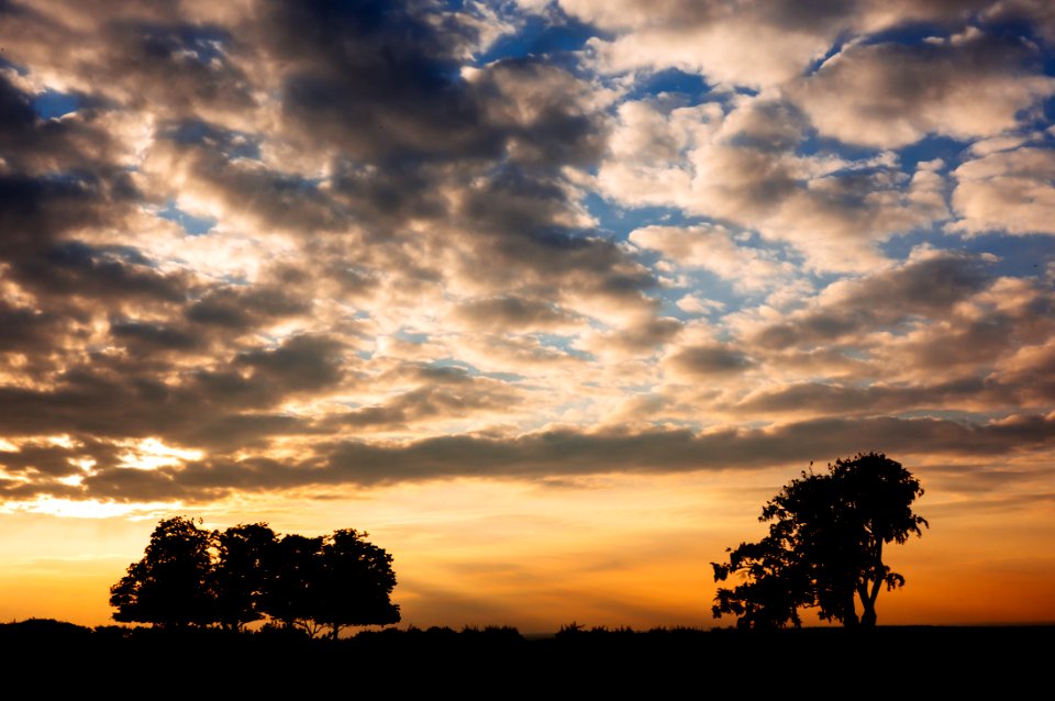 silhouette of trees under orange and gray clouds during daytime