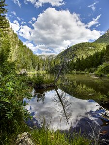 Rugged lizard lake colorado photo