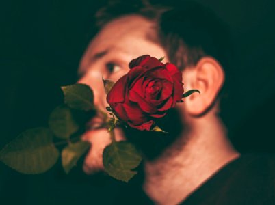 man biting red rose in closeup shot