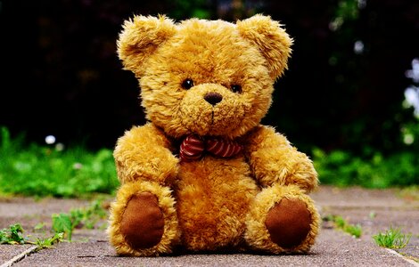 Toys funny bears
