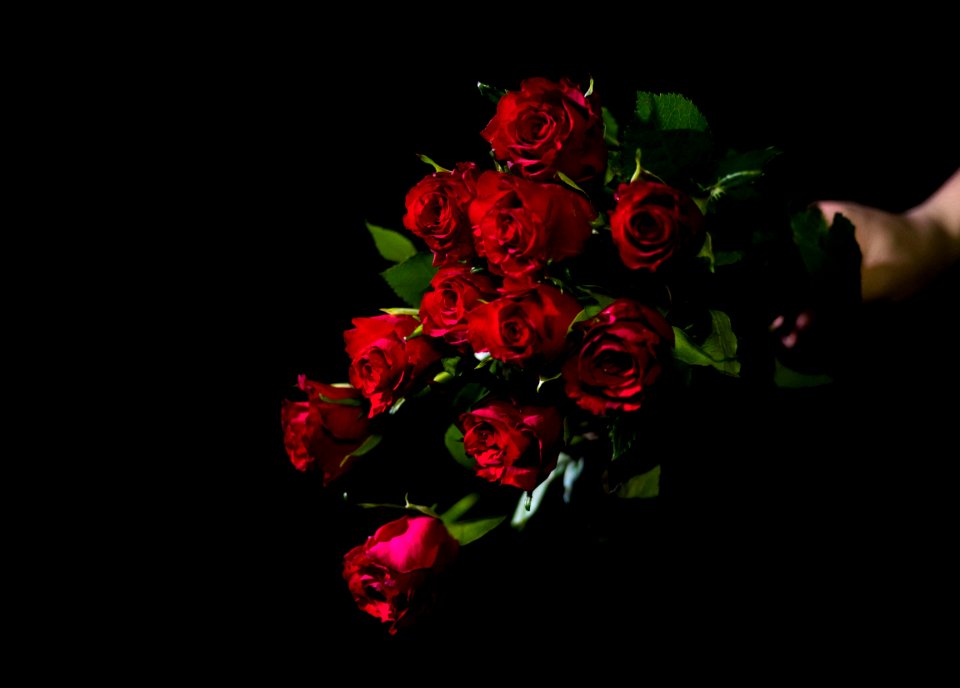 person holds bouquet of red roses