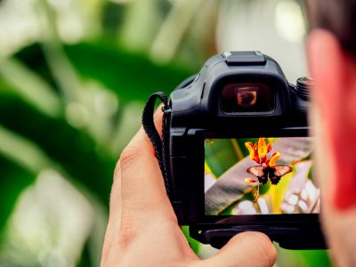 black digital camera capturing yellow flower photo