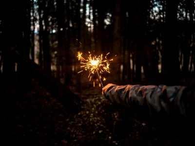 person holding sparkler at the middle of forest photo