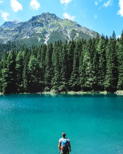 man looking through on lake with pine trees under blue sky