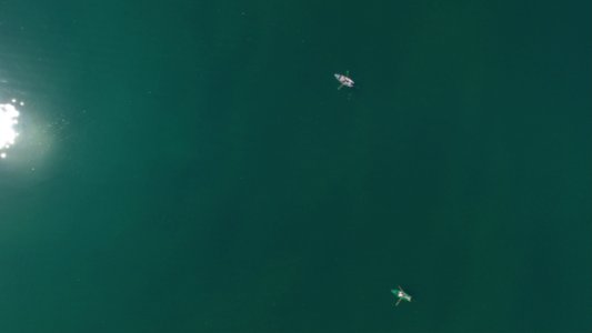 aerial photography of two boats on body of water photo